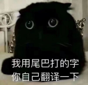 猫猫表情包。