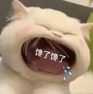 大猫