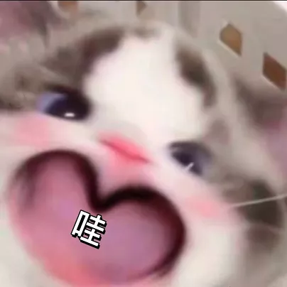 大猫