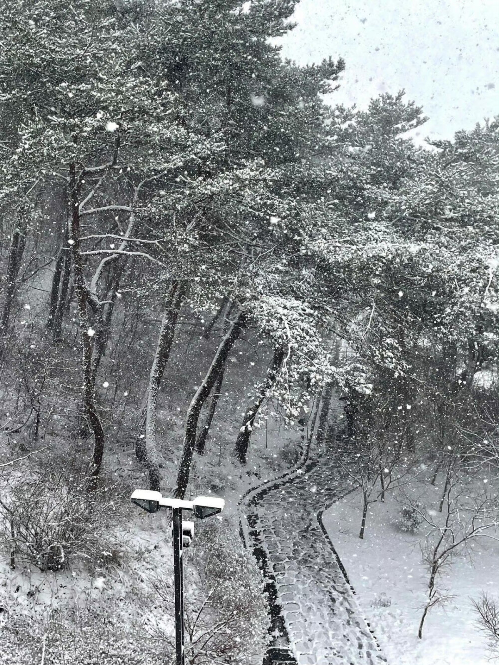 该换背景啦__!! ᖰ⌯'▾'⌯ᖳ
雪天背景 ins背景图 朋友圈背景图 小众艺术感 氛围感背景图
