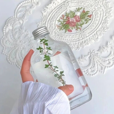 面条国