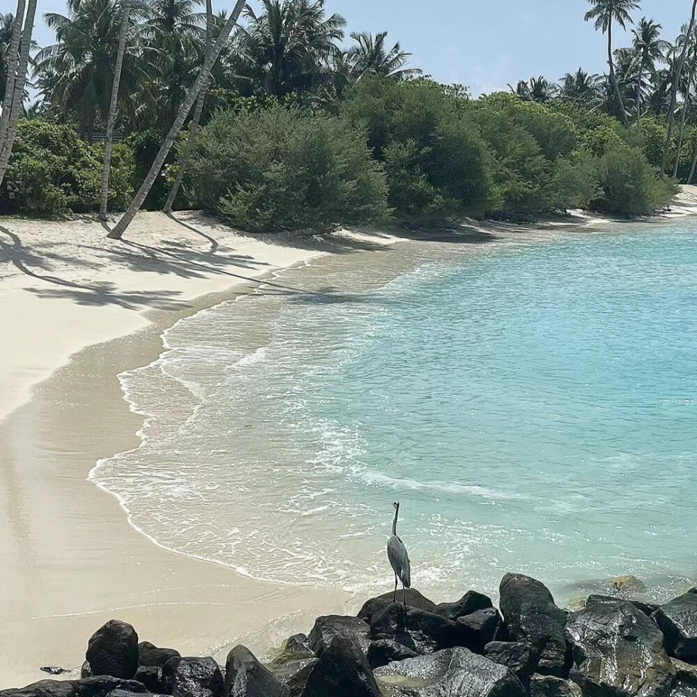 浅蓝色背景图