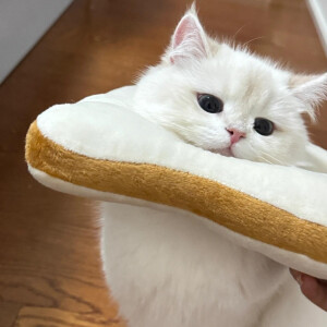 幼儿园等人来接的小朋友