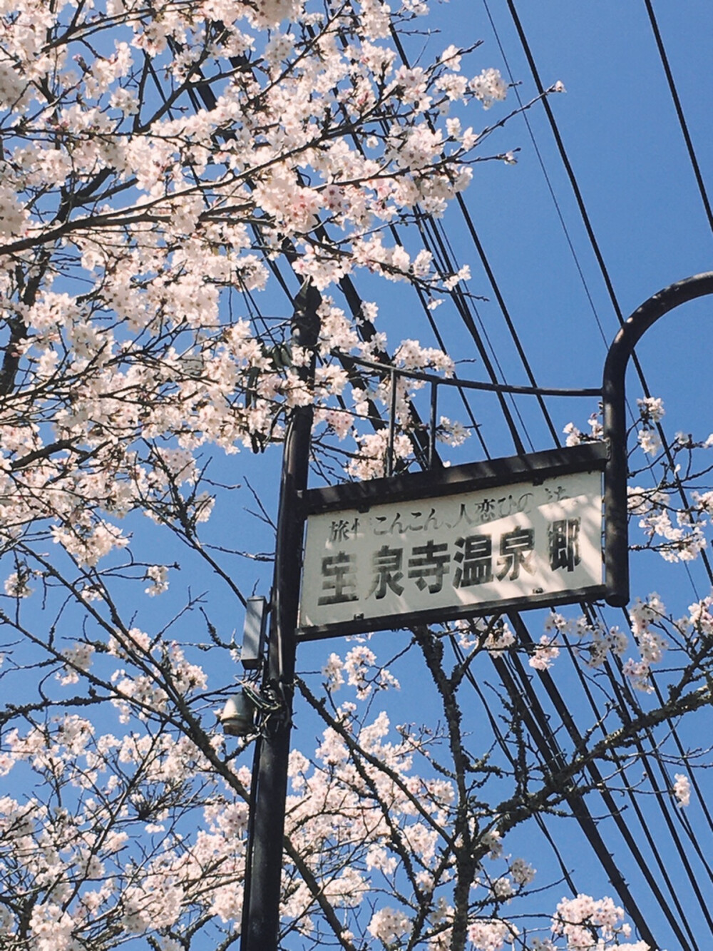 花季