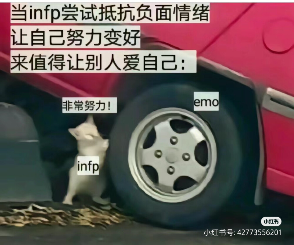 INFP梗图