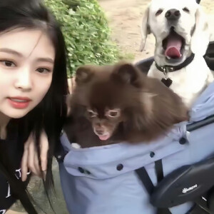 JENNIE の 头像