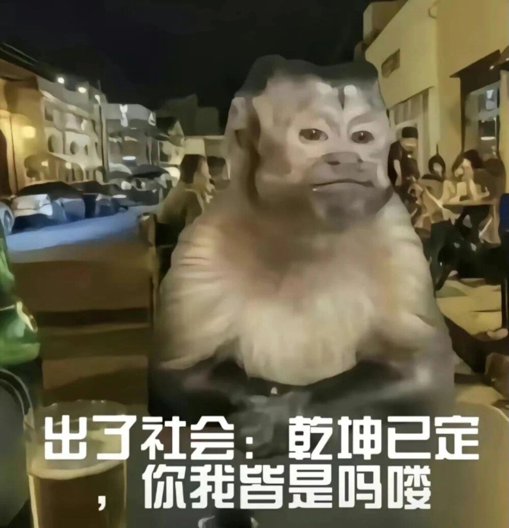 沙雕动物表情包