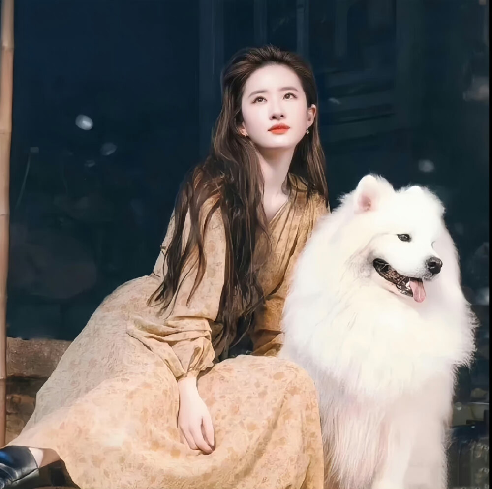 刘亦菲 の 头像