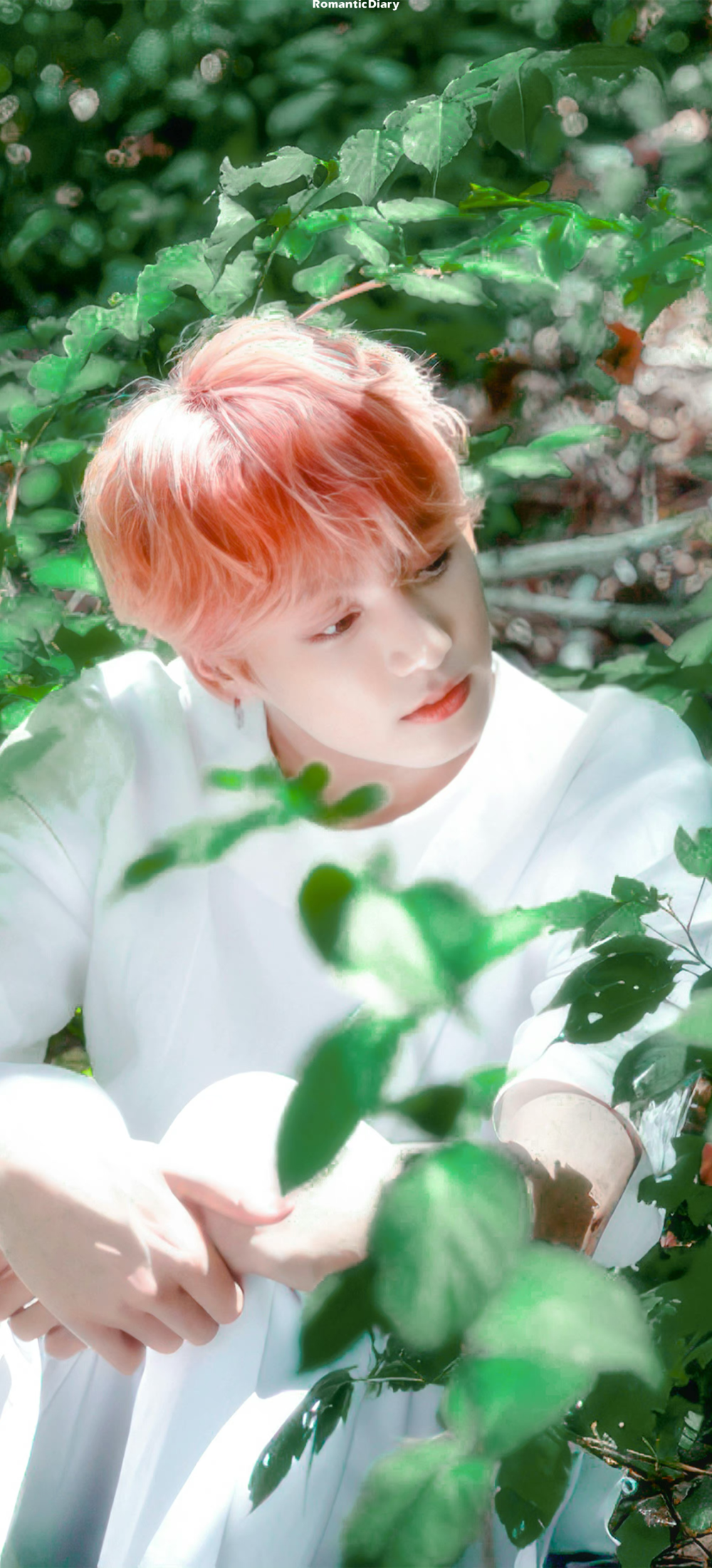 kpop壁纸第四十八弹(田柾国景深壁纸)"