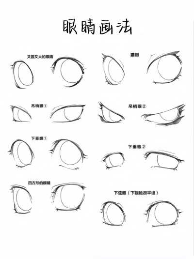 不同眼型眼睛画法