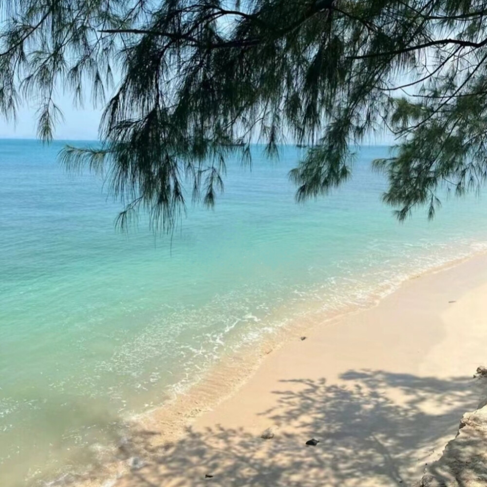 薄荷绿背景图 海的背景图