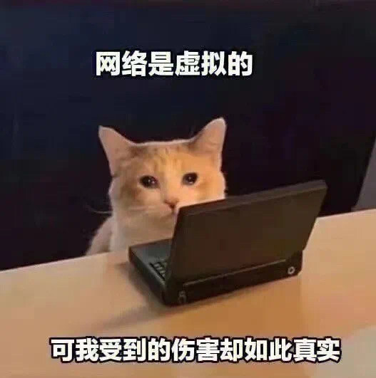 沙雕猫咪表情包