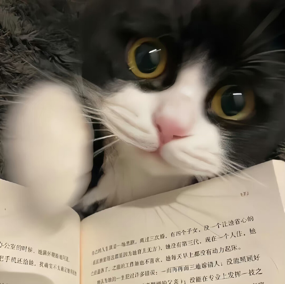 ins背景图