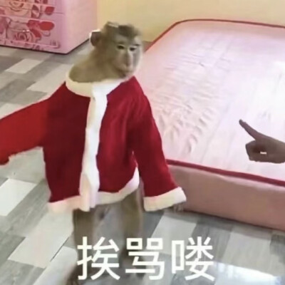 吗喽表情包 - 高清图片，堆糖，美图壁纸兴趣社区