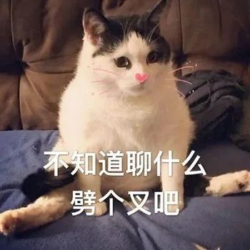 猫猫表情包