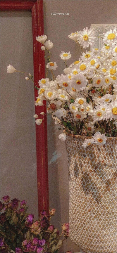 手机壁纸