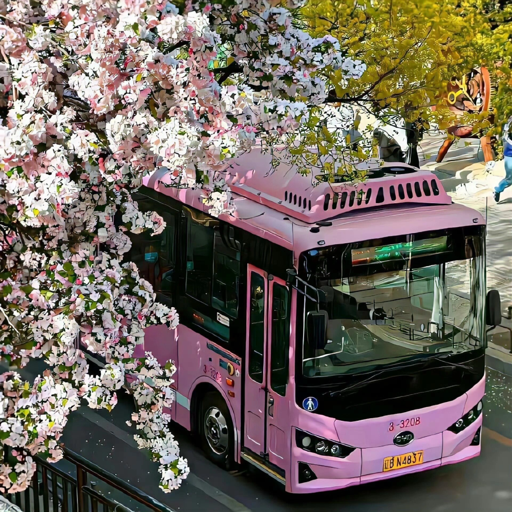 ▸背景图
"祝你 逃出困难向春山"