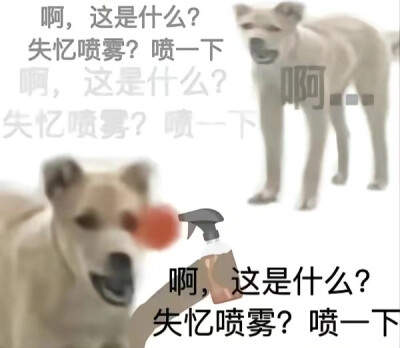 表情