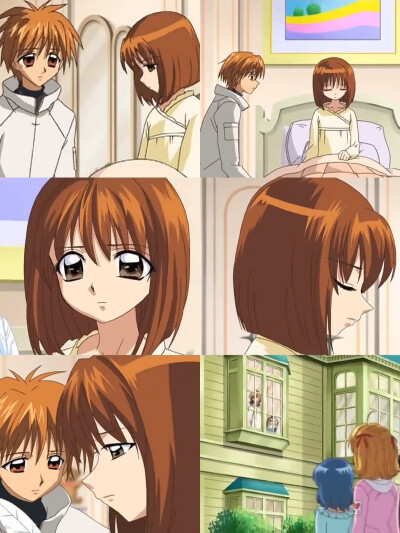 茶