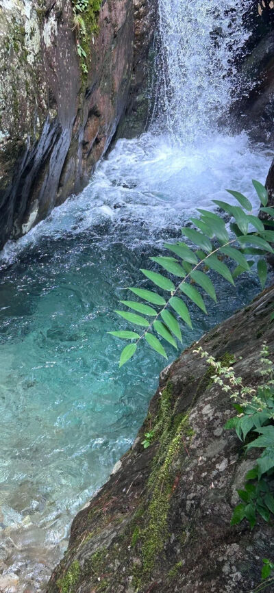 风景壁纸