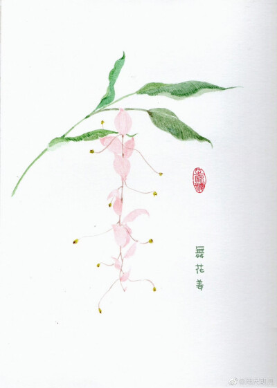 花卉手绘