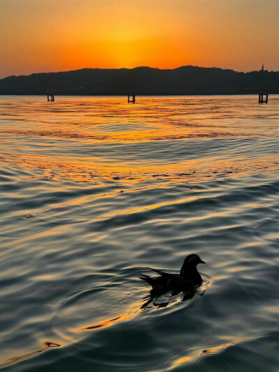 落日背景图 夕阳背景图