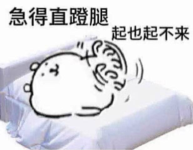 自嘲熊