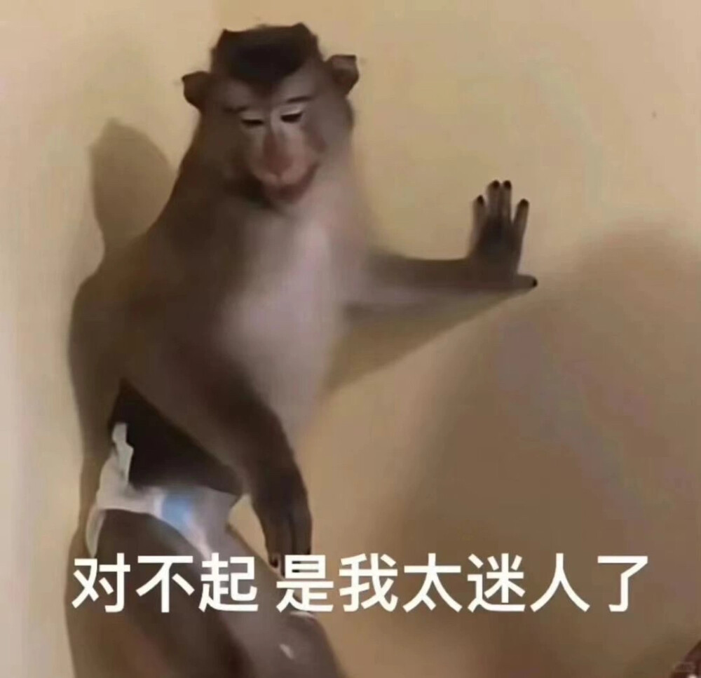 这堆吗喽，哈喽吗喽