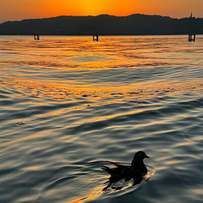 落日背景图 夕阳背景图