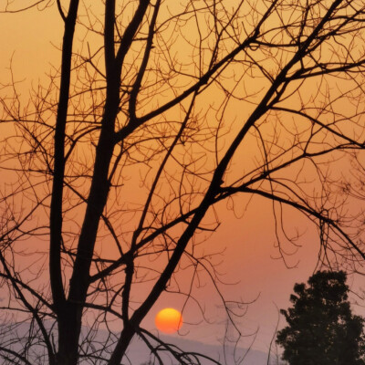 落日背景图 夕阳背景图