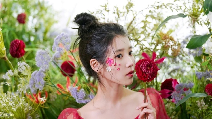 IU の 头像