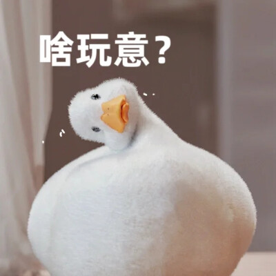 表情包