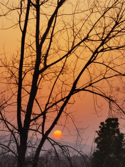 落日背景图 夕阳背景图