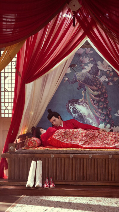 夜夜相见不识君 李书白 李菲