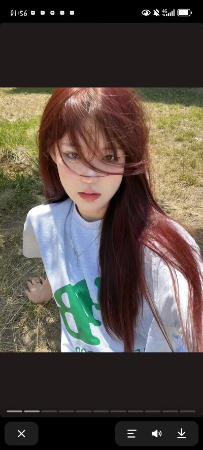 红毛