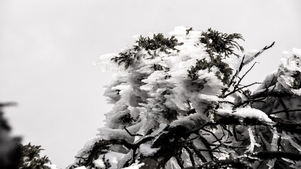 汉中龙头山雪雾。香雾云鬟湿，清辉玉臂寒。 山峰沟壑薄雾轻烟绕，晨光初照环山羊肠路。山顶的白雪仿佛是一座座银色的金字塔，晶莹剔透矗立在天际，山体岩壁中生长着树木，在头上方跨过羊肠道，伸向上空。云雾环绕山峰朦朦胧胧，雄伟而神秘。悠然自得地漫步，从上往下的俯瞰，让我对山峰的雄伟壮观有了更深刻的认识。没有文字，没有标志，只有纯粹的自然之美，让我陶醉在其中。