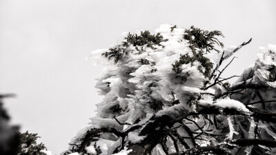 汉中龙头山雪雾。香雾云鬟湿，清辉玉臂寒。 山峰沟壑薄雾轻烟绕，晨光初照环山羊肠路。山顶的白雪仿佛是一座座银色的金字塔，晶莹剔透矗立在天际，山体岩壁中生长着树木，在头上方跨过羊肠道，伸向上空。云雾环绕山…