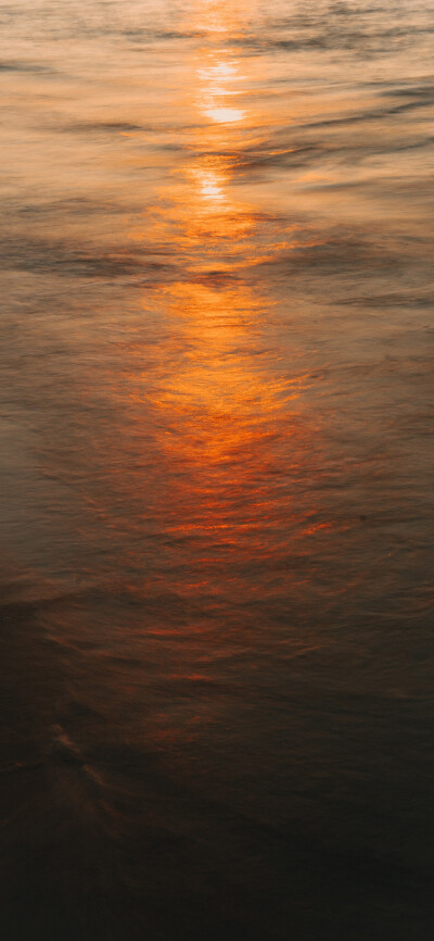 手机壁纸 背景图