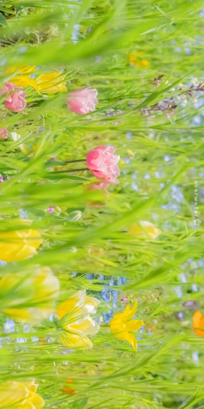 雨天：小清新女头像