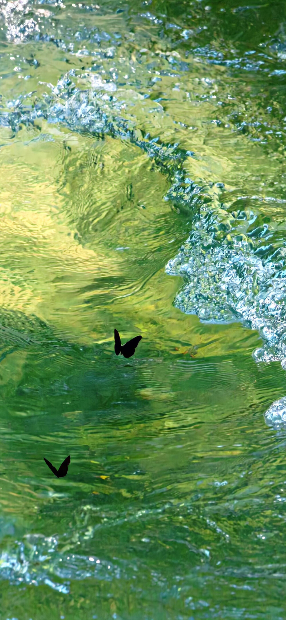 手机壁纸 背景图