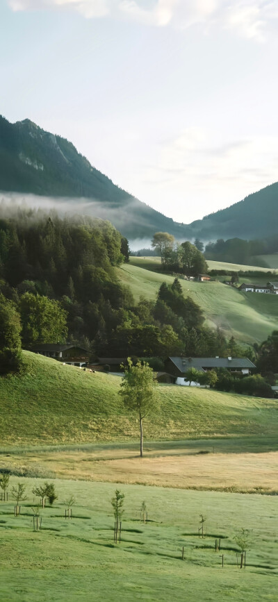 手机壁纸 背景图