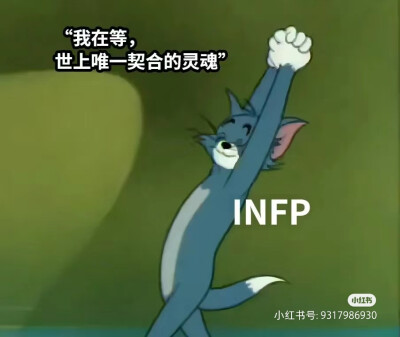 INFP梗图
图源小红书，侵删