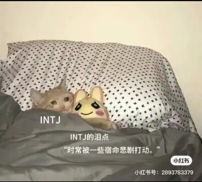 intj