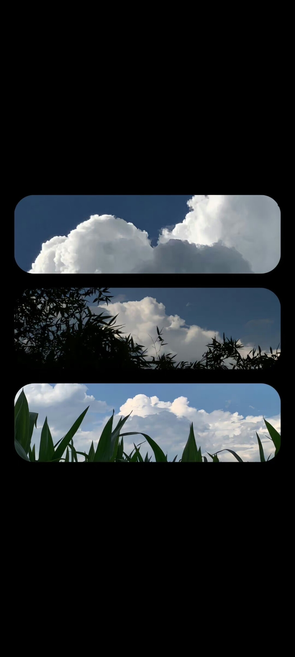 手机壁纸 背景图