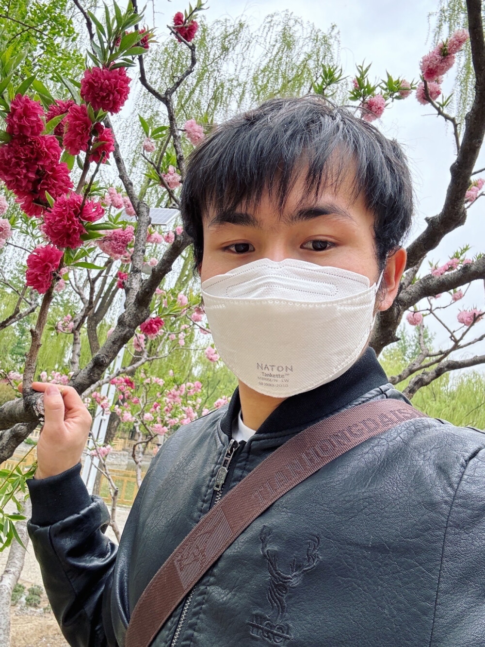 猫哥记录:春意盎然,花开满径.图中的小哥哥,黑衣白口罩,沉稳而神秘