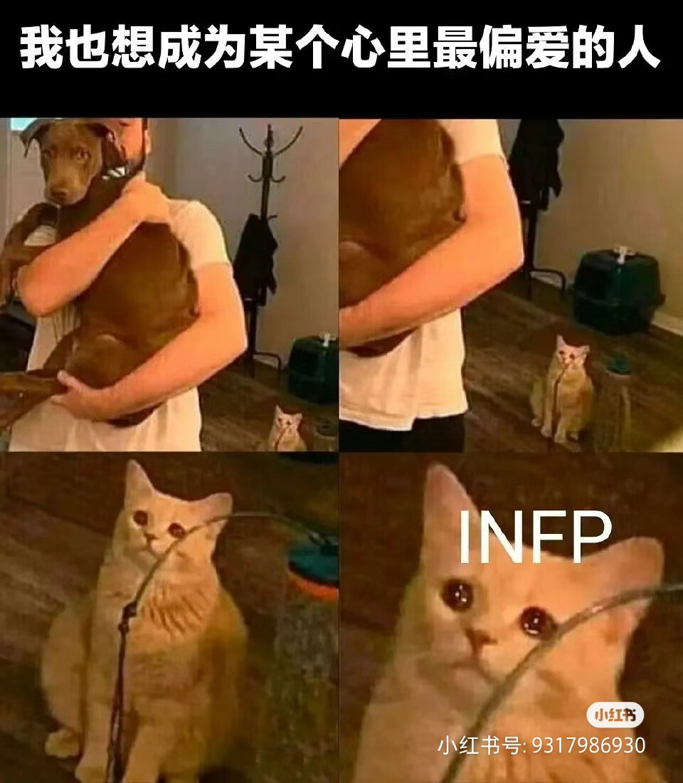 INFP梗图
图源小红书，侵删