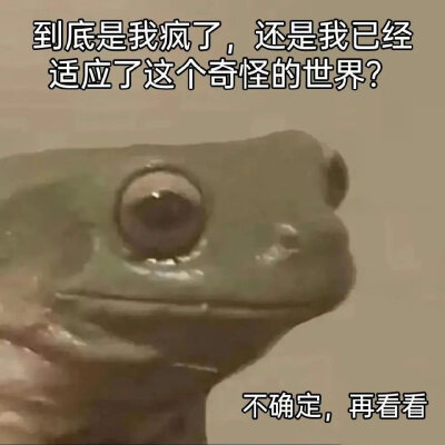 微博搜集
迷因
侵权删