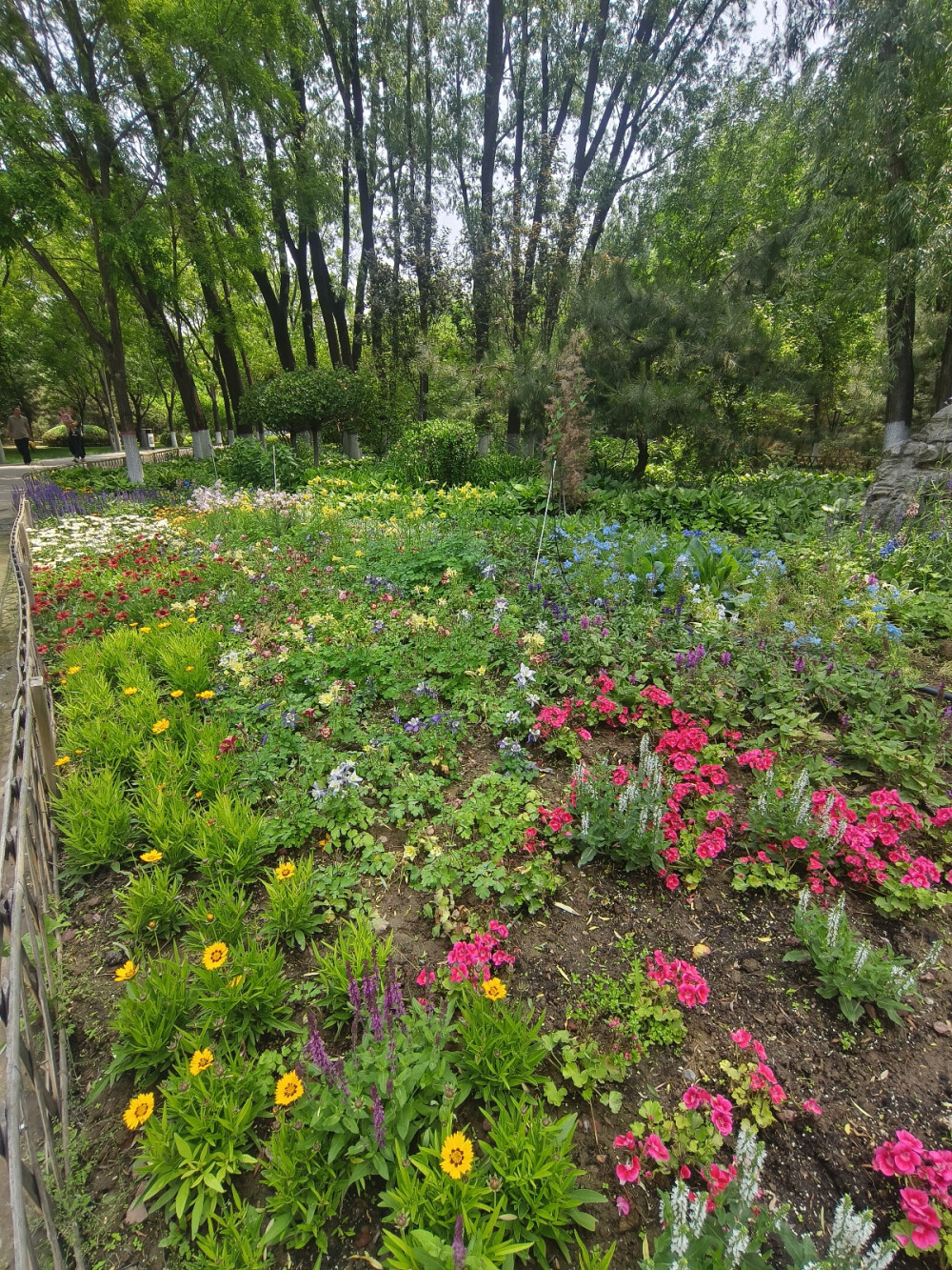 造型花坛（南寨公园）