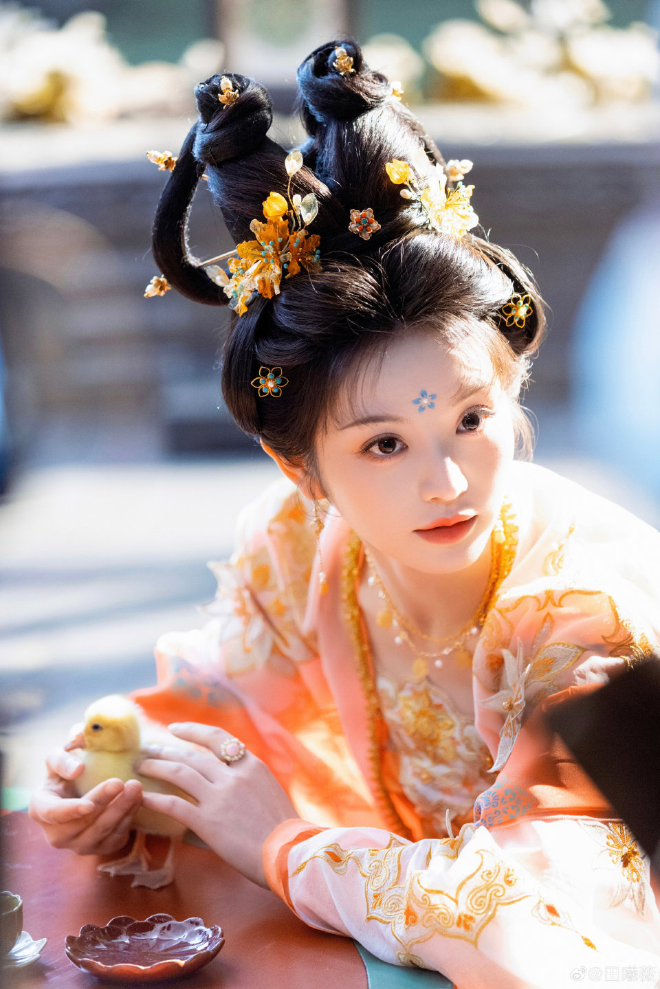田曦薇