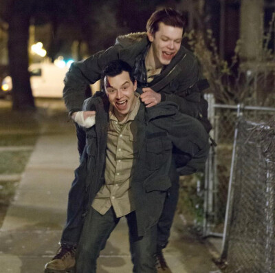 gallavich